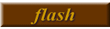 flash 