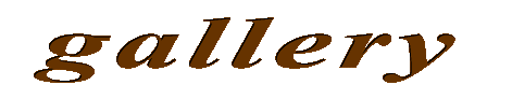 gallery on text