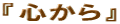 �w�S����x