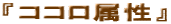 �w�R�R�������x