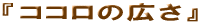 �R�R���̍L��