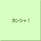 �J���V���I