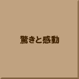 �����Ɗ���